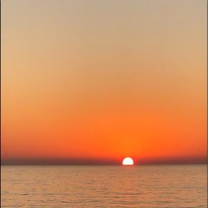 Meet your Posher, Maddy